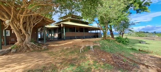 Elephant care facility building in Udawalawe National Park