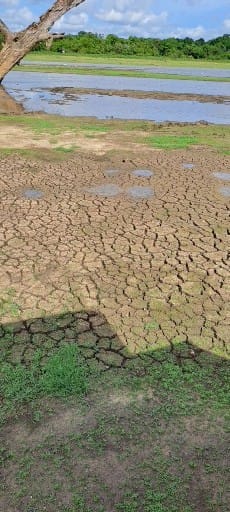 Reservoir dry bed in Udawalawe National Park