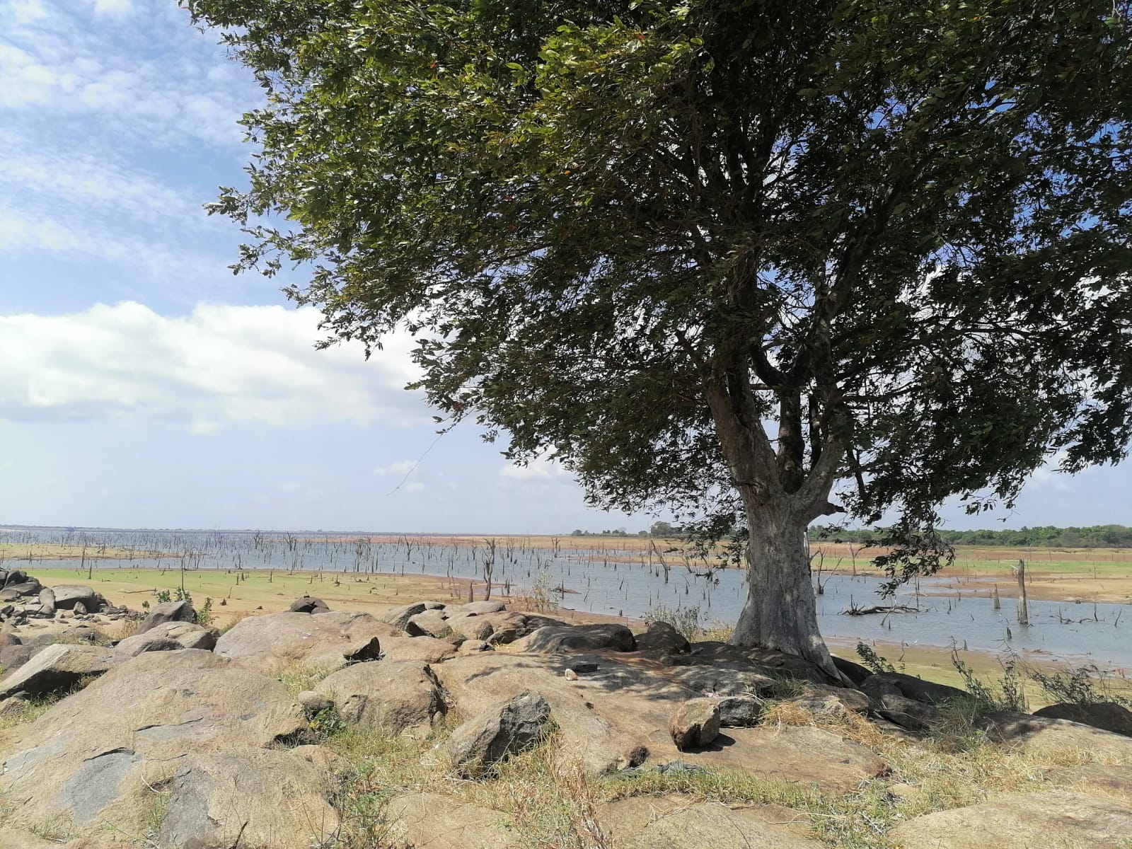 Sunset over Udawalawe Reservoir shoreline